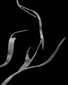 SILHOUETTE T-SHIRT
