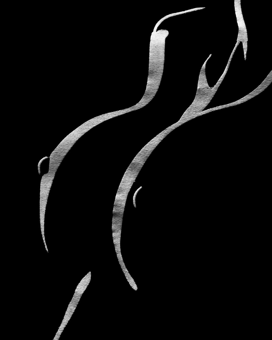SILHOUETTE T-SHIRT